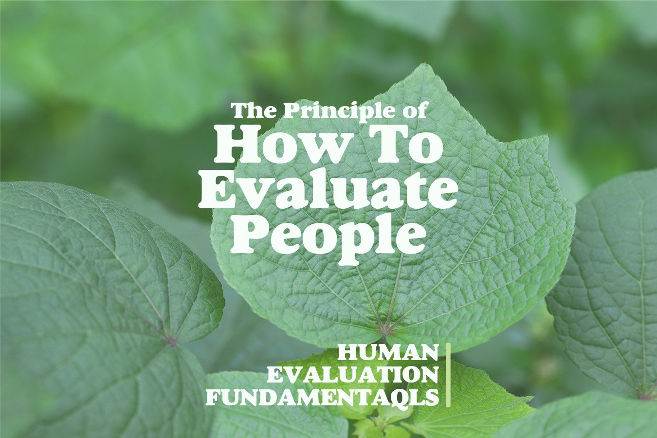 A just human evaluation process should prioritize people's internal qualities.